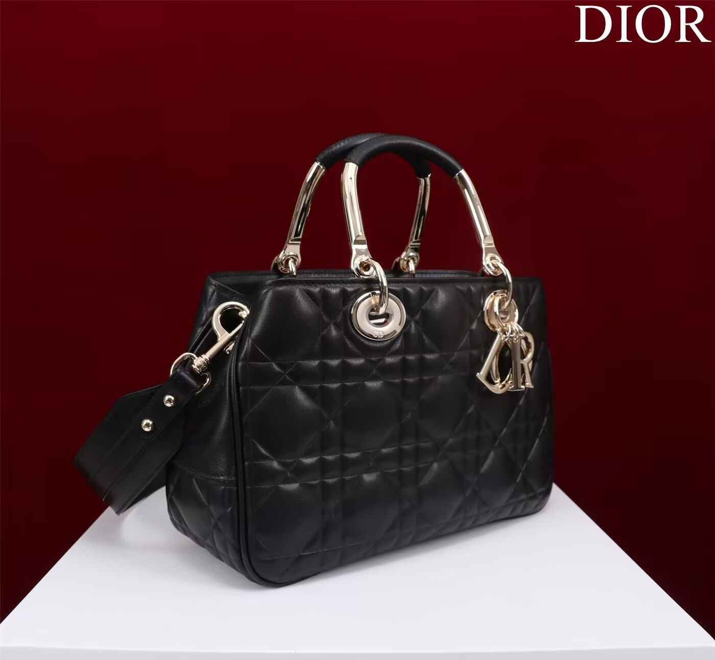 D*0r Lady Handbag 24x18x10cm
