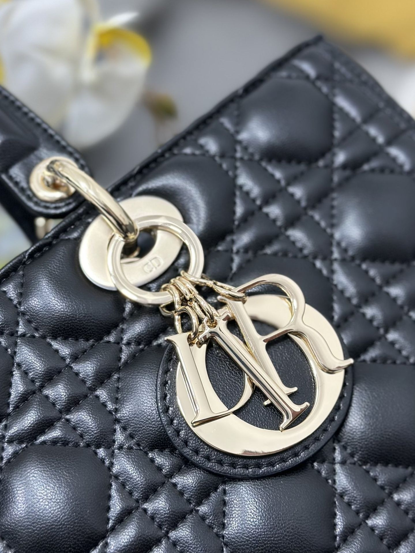 D*0r Lady Bag 32 x 25 x 11cm