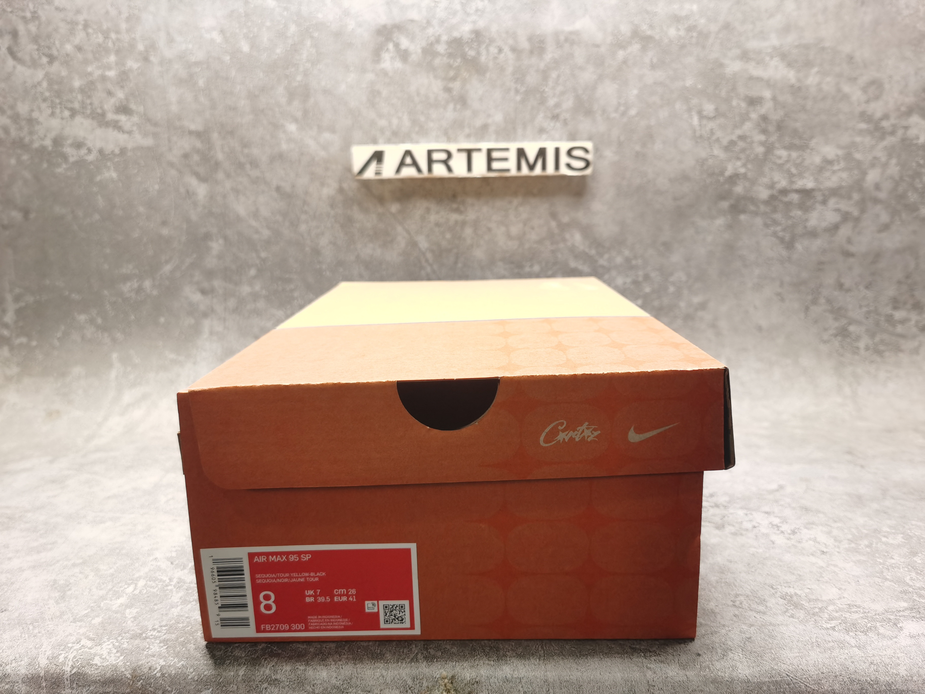 UA Nike Air Max 95 SP