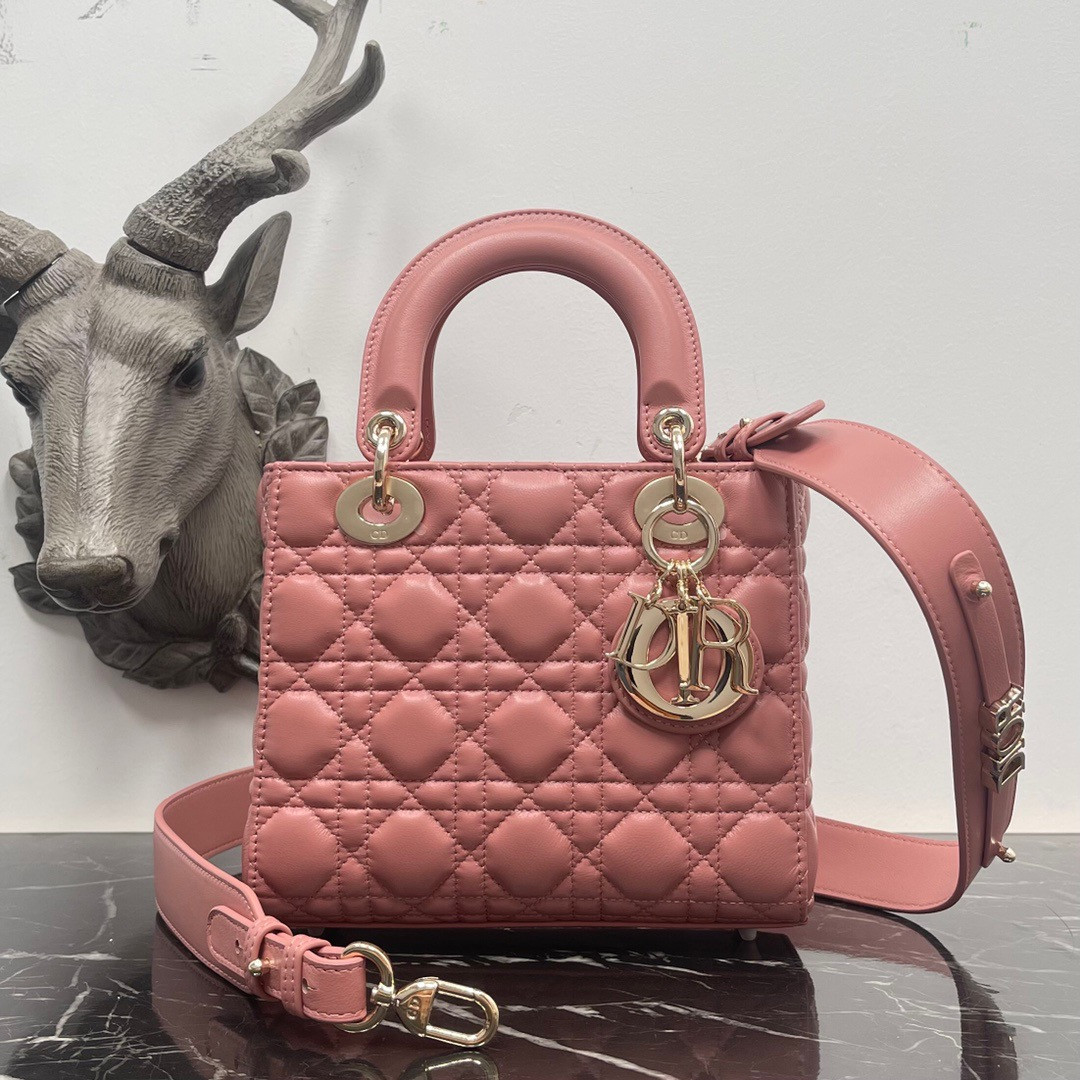 Small Lady D*0r My ABCD*0r Bag 8 x 6.5 x 3 inches