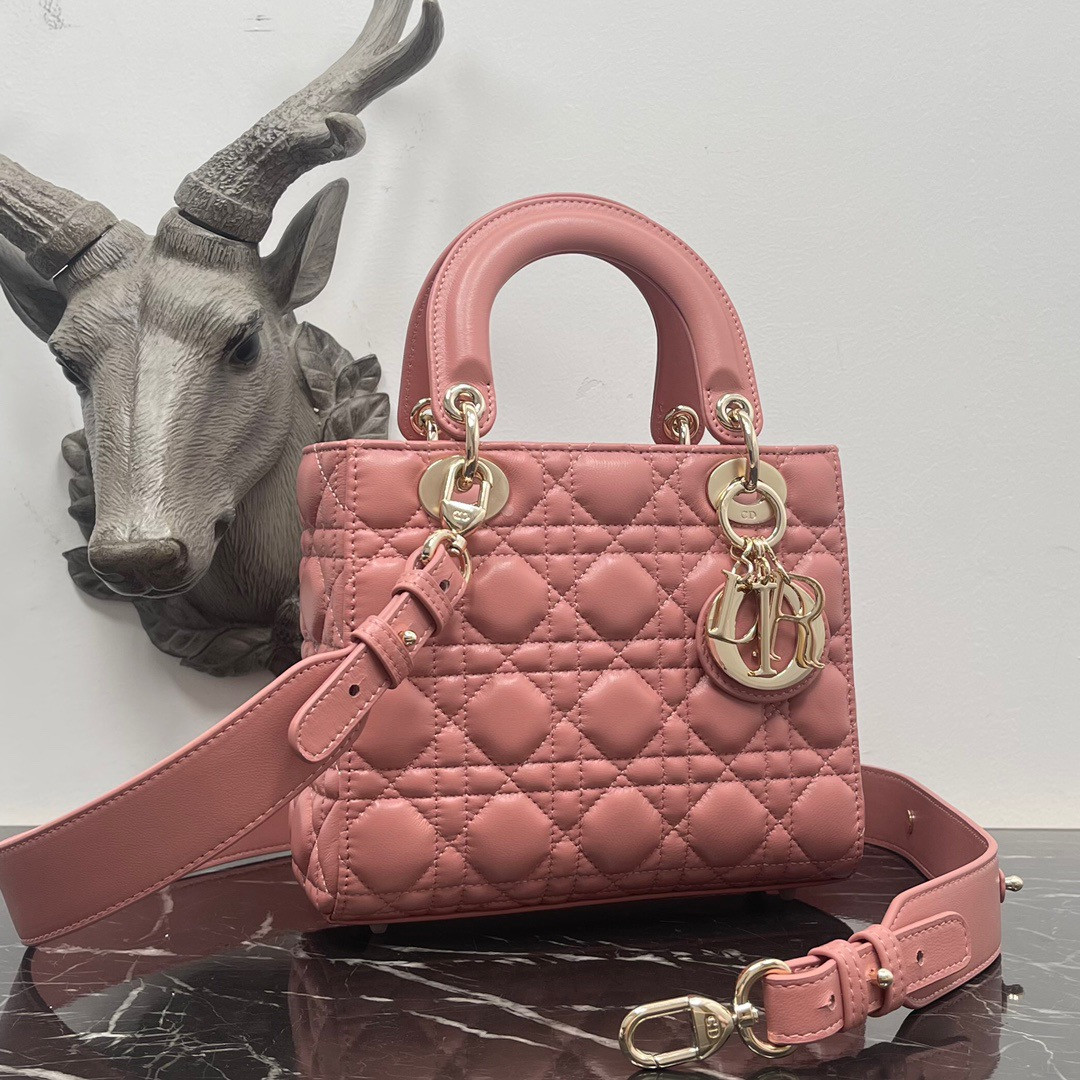 Small Lady D*0r My ABCD*0r Bag 8 x 6.5 x 3 inches