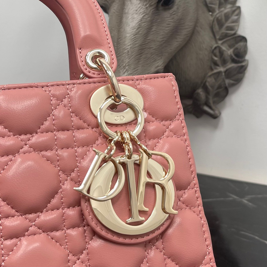 Small Lady D*0r My ABCD*0r Bag 8 x 6.5 x 3 inches