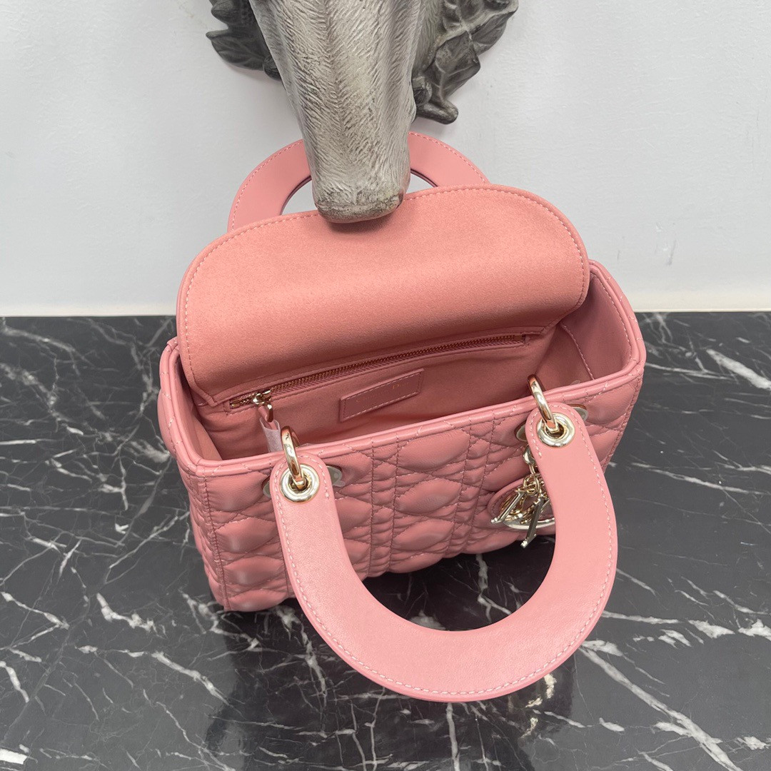 Small Lady D*0r My ABCD*0r Bag 8 x 6.5 x 3 inches