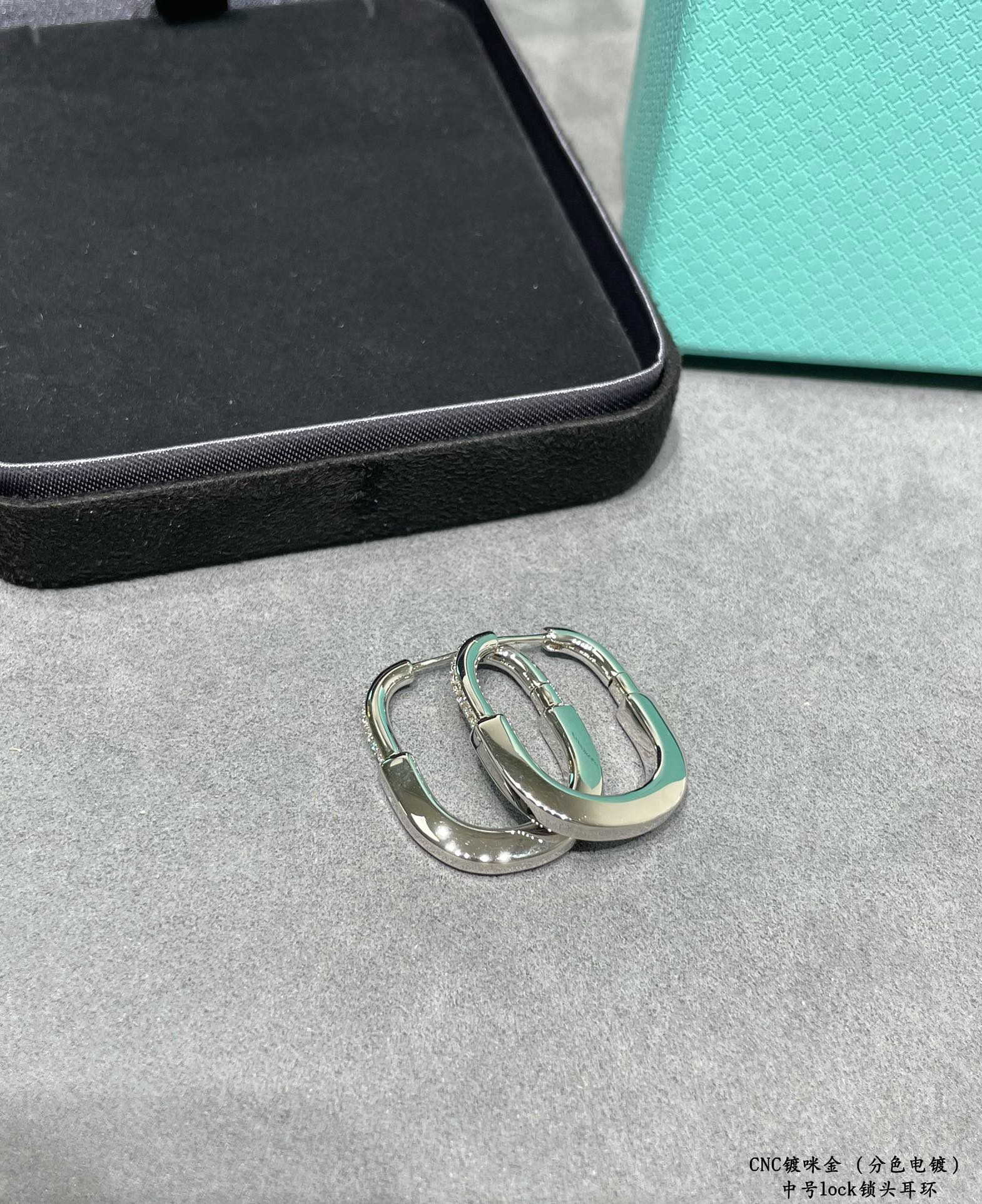 T*f*ny & Co. Medium Lock Earrings