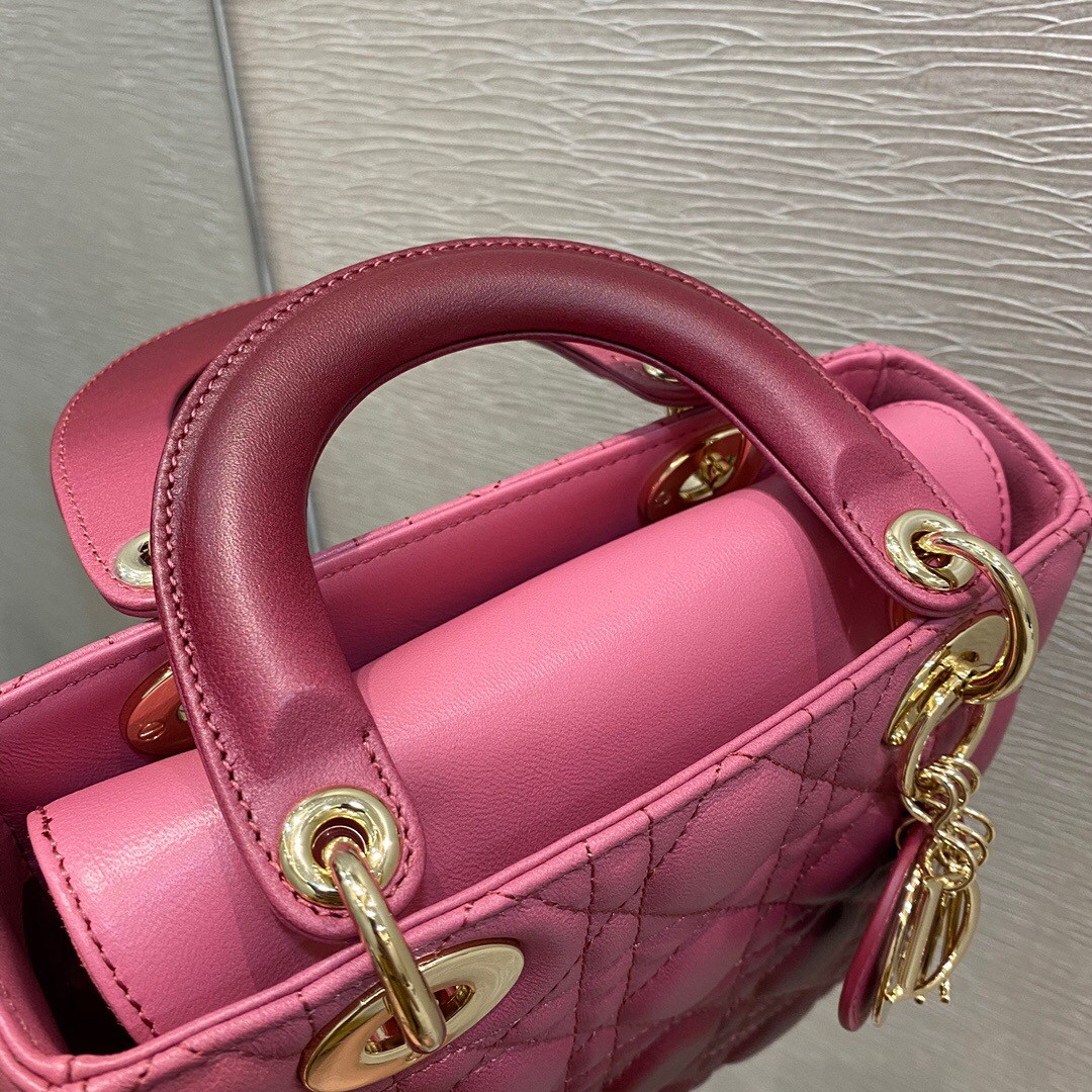 Small Lady D*0r Bag 8 x 6.5 x 3 inches