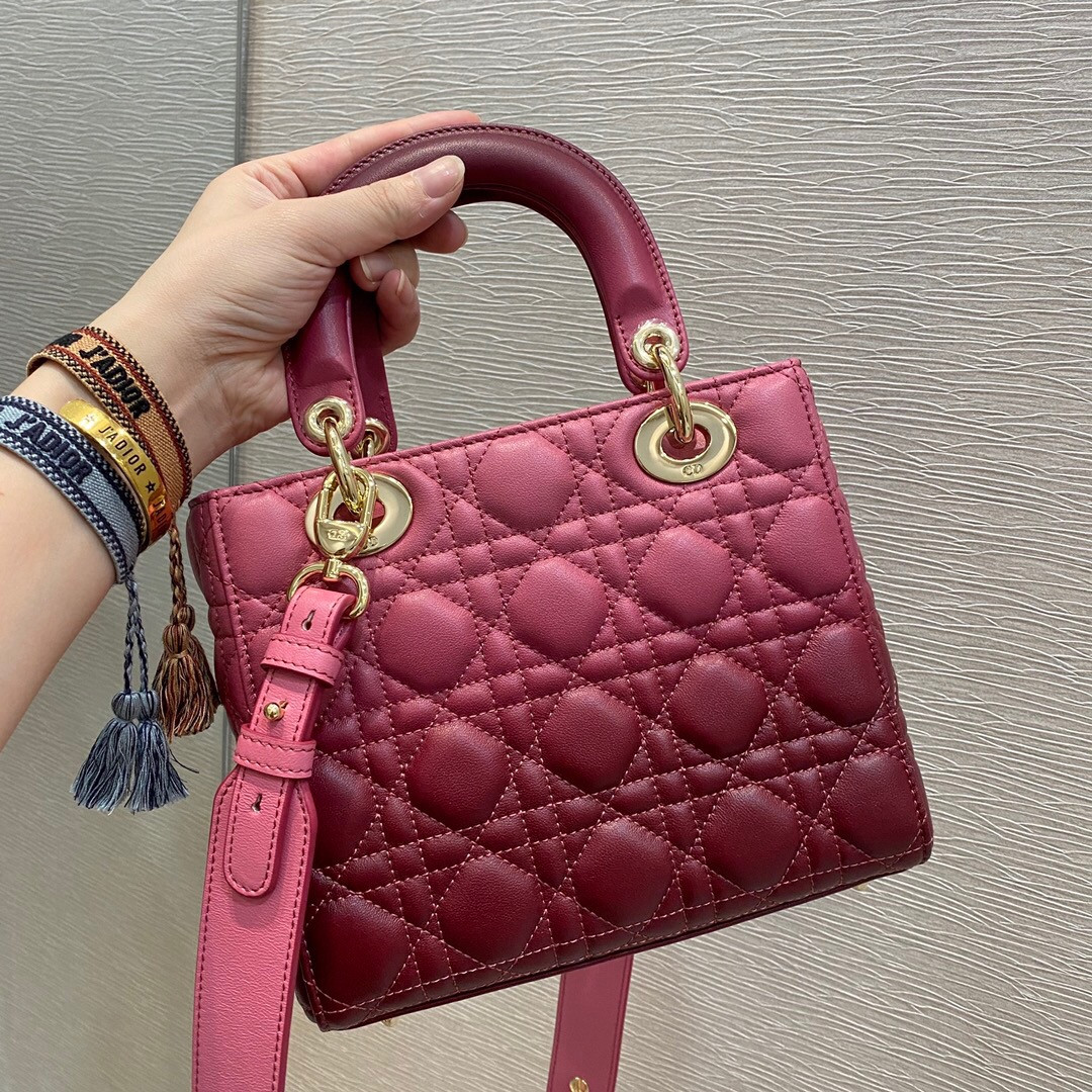 Small Lady D*0r Bag 8 x 6.5 x 3 inches