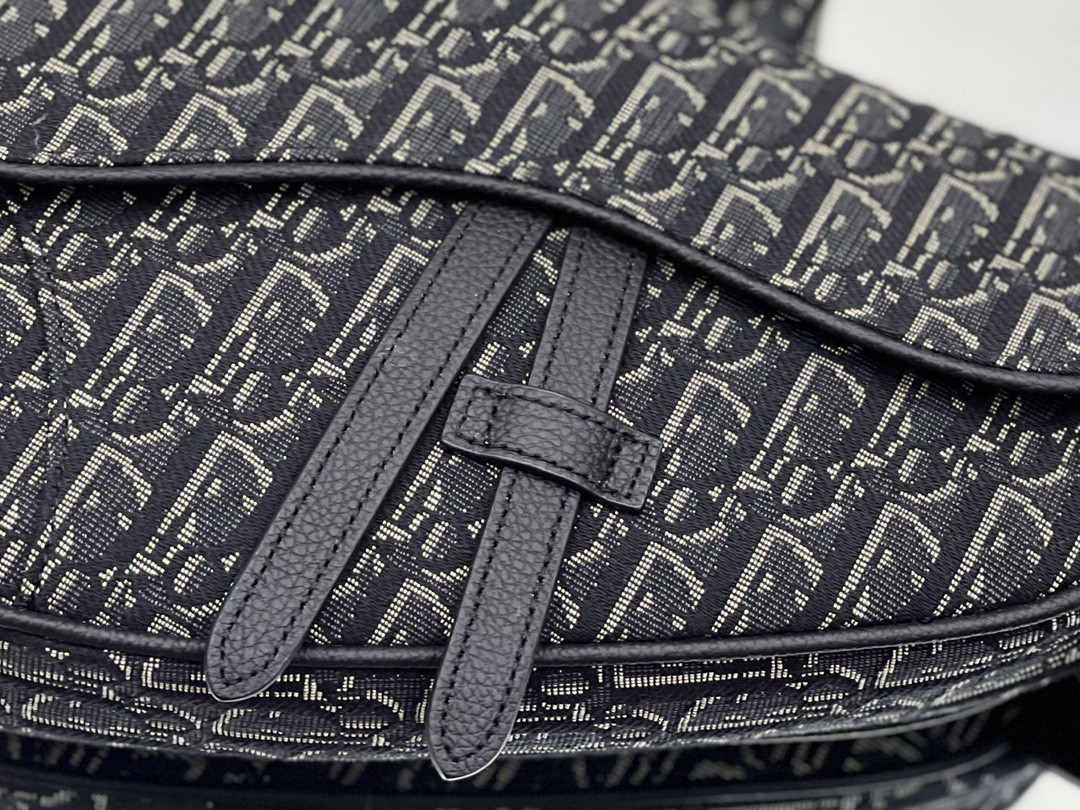 Ch**an D*0r Saddle Crossbody Bag Oblique Canvas 26 x 19 x 4.5 cm