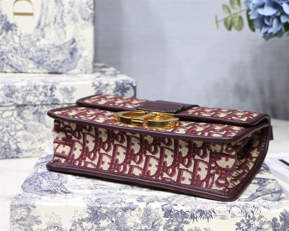 D*0r 30 MONTAIGNE CHAIN BAG ROSERED 24x18x8 cm