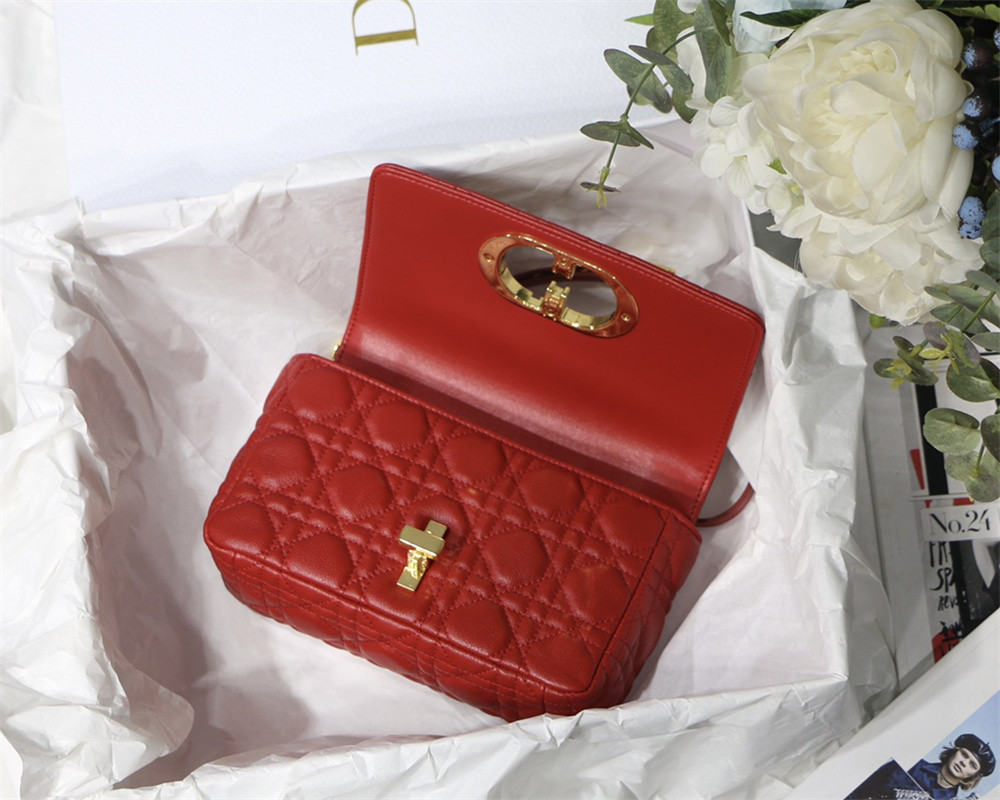 SMALL D*0r CARO BAG Red S*pple Cannage Calfskin 20 x 12 x 7 cm