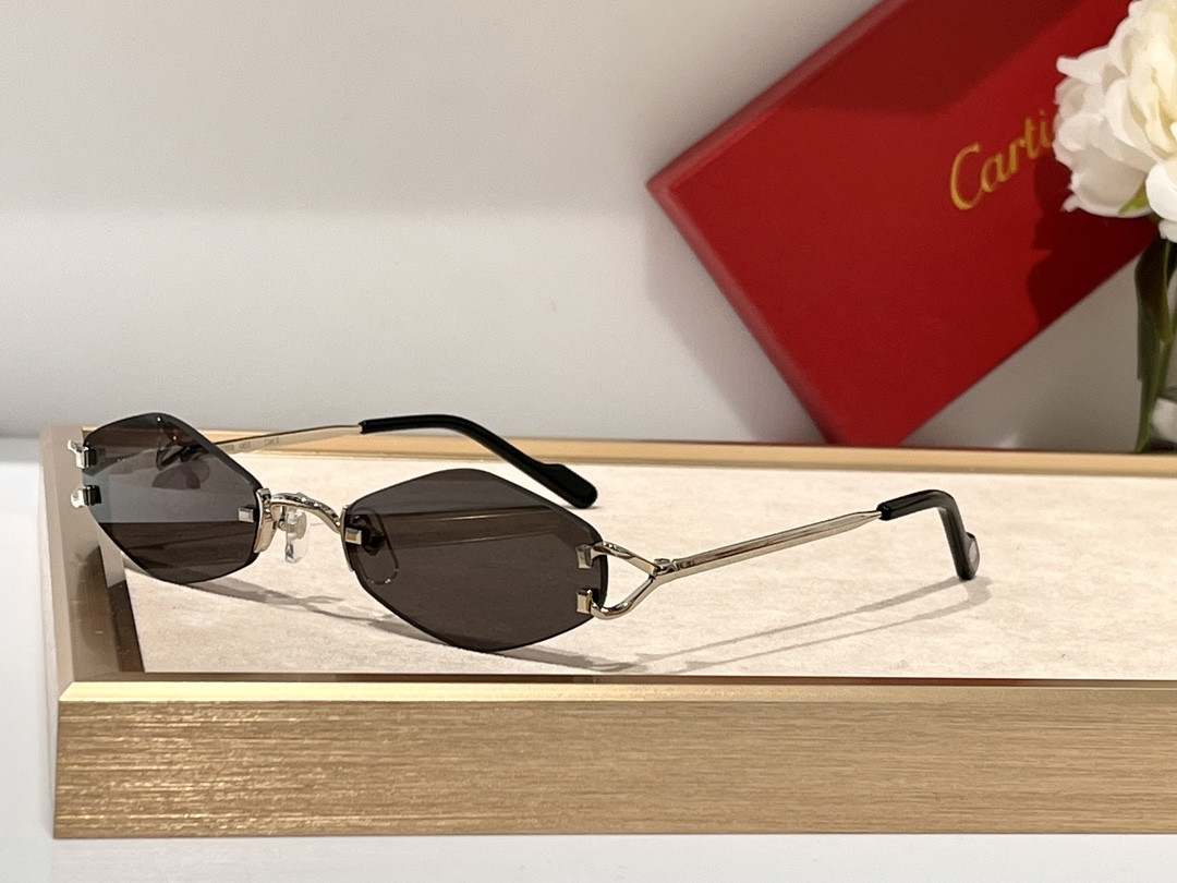 Ca*t*er Glasses CT8100359 48-20-140